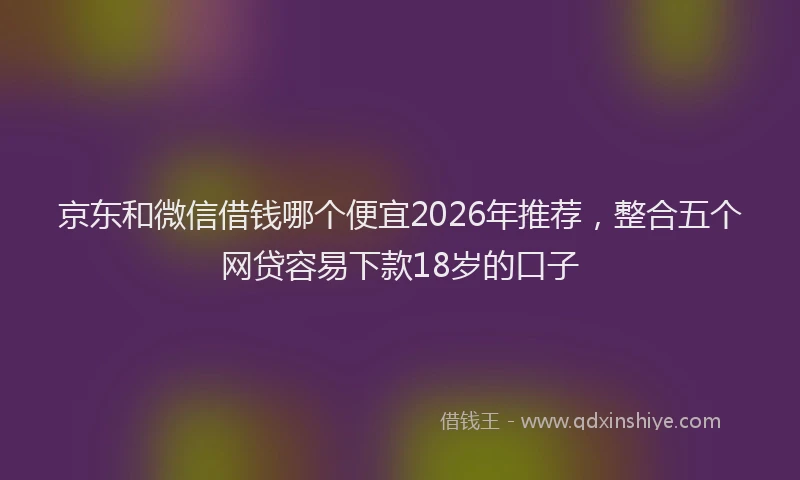 京东和微信借钱哪个便宜2026年推荐，整合五个网贷容易下款18岁的口子