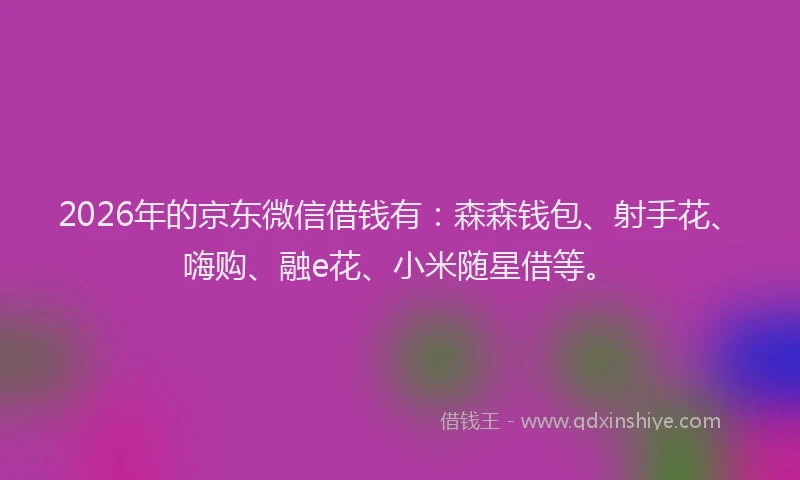 2026年的京东微信借钱有:森森钱包、射手花、嗨购、融e花、小米随星借等。