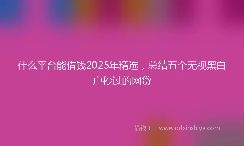 什么平台能借钱2025年精选，总结五个无视黑白户秒过的网贷
