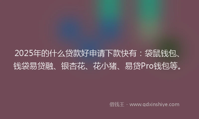 2025年的什么贷款好申请下款快有:袋鼠钱包、钱袋易贷融、银杏花、花小猪、易贷Pro钱包等。