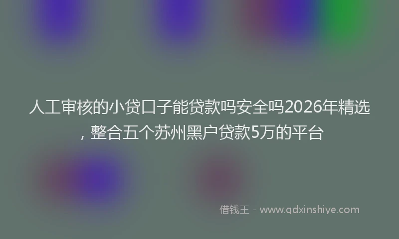 人工审核的小贷口子能贷款吗安全吗2026年精选，整合五个苏州黑户贷款5万的平台