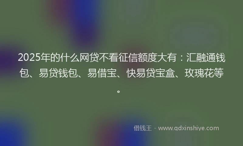 2025年的什么网贷不看征信额度大有：汇融通钱包、易贷钱包、易借宝、快易贷宝盒、玫瑰花等。