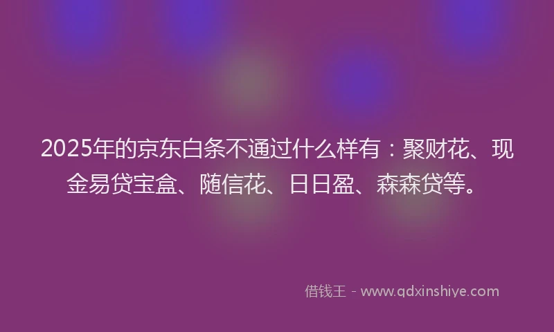 2025年的京东白条不通过什么样有：聚财花、现金易贷宝盒、随信花、日日盈、森森贷等。