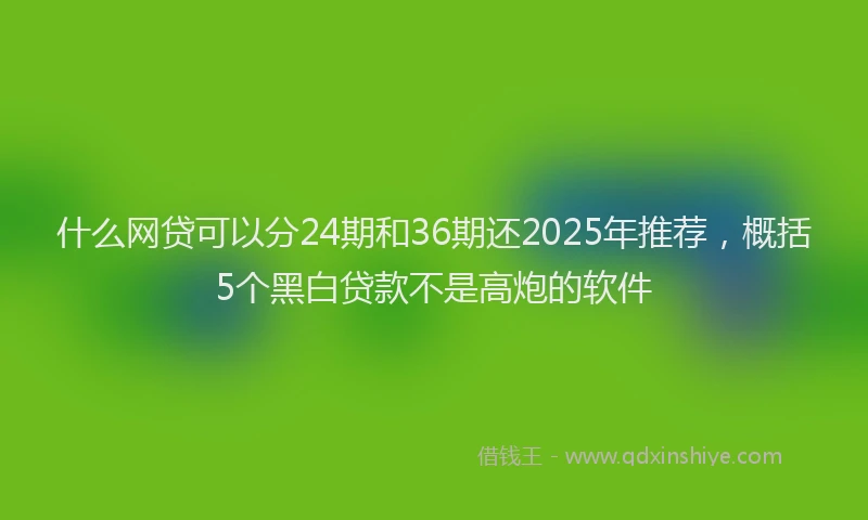 什么网贷可以分24期和36期还2025年推荐，概括5个黑白贷款不是高炮的软件