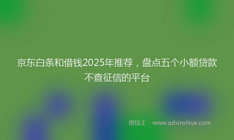 京东白条和借钱2025年推荐，盘点五个小额贷款不查征信的平台