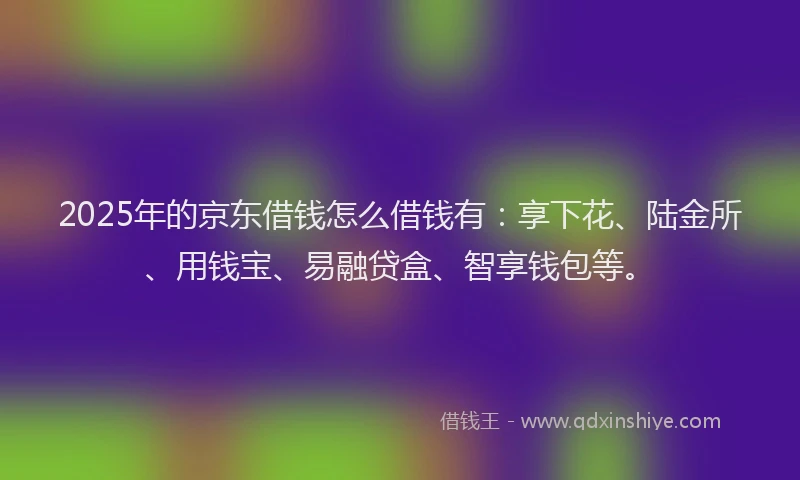 2025年的京东借钱怎么借钱有：享下花、陆金所、用钱宝、易融贷盒、智享钱包等。
