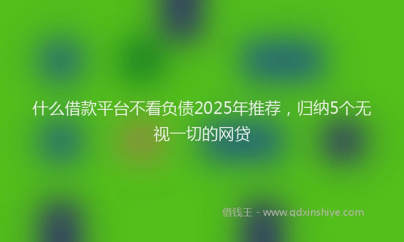 什么借款平台不看负债2025年推荐，归纳5个无视一切的网贷