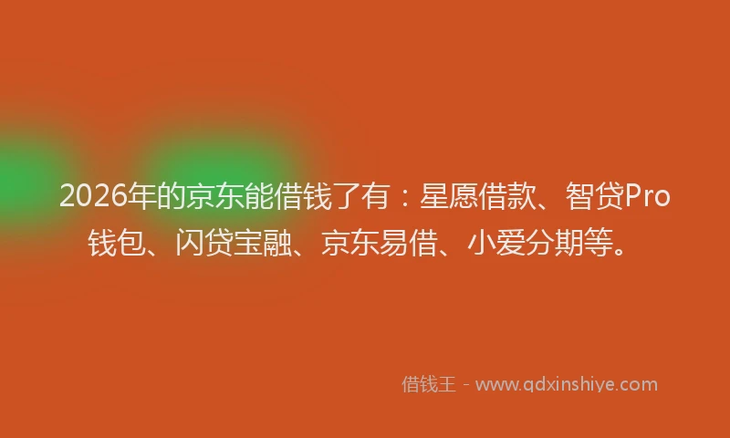 2026年的京东能借钱了有：星愿借款、智贷Pro钱包、闪贷宝融、京东易借、小爱分期等。