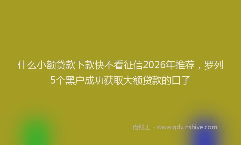什么小额贷款下款快不看征信2026年推荐，罗列5个黑户成功获取大额贷款的口子