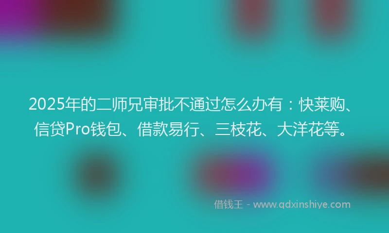 2025年的二师兄审批不通过怎么办有：快莱购、信贷Pro钱包、借款易行、三枝花、大洋花等。