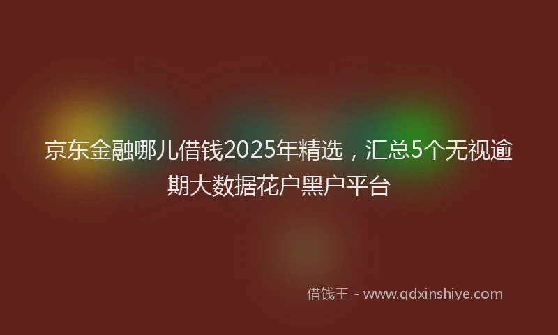 京东金融哪儿借钱2025年精选，汇总5个无视逾期大数据花户黑户平台