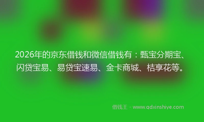 2026年的京东借钱和微信借钱有：甄宝分期宝、闪贷宝易、易贷宝速易、金卡商城、桔享花等。