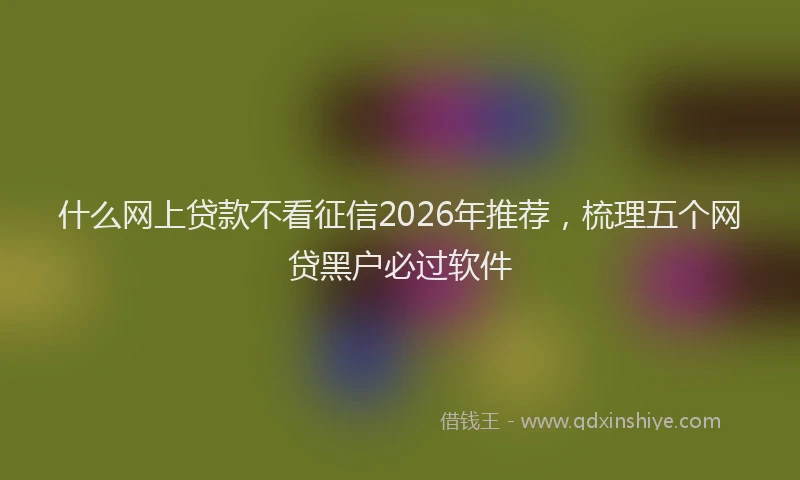 什么网上贷款不看征信2026年推荐，梳理五个网贷黑户必过软件