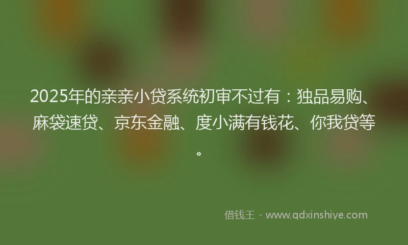 2025年的亲亲小贷系统初审不过有：独品易购、麻袋速贷、京东金融、度小满有钱花、你我贷等。