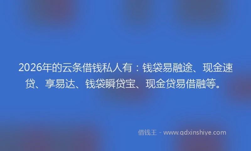 2026年的云条借钱私人有:钱袋易融途、现金速贷、享易达、钱袋瞬贷宝、现金贷易借融等。