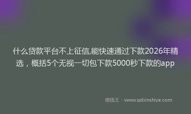 什么贷款平台不上征信,能快速通过下款2026年精选，概括5个无视一切包下款5000秒下款的app