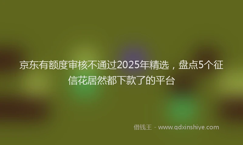 京东有额度审核不通过2025年精选，盘点5个征信花居然都下款了的平台