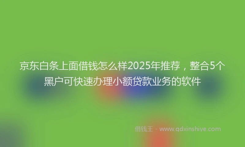 京东白条上面借钱怎么样2025年推荐，整合5个黑户可快速办理小额贷款业务的软件