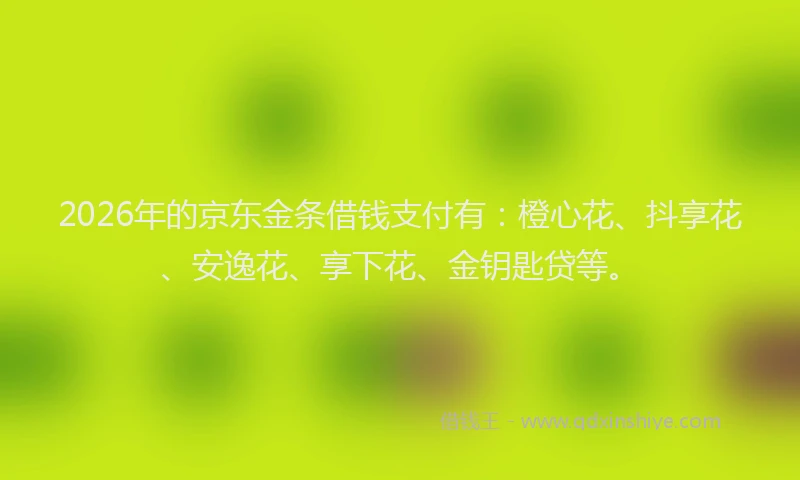 2026年的京东金条借钱支付有：橙心花、抖享花、安逸花、享下花、金钥匙贷等。