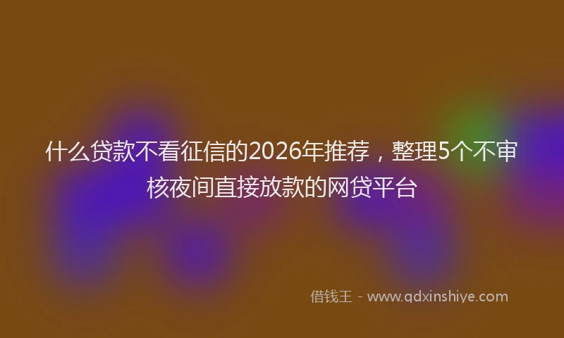 什么贷款不看征信的2026年推荐，整理5个不审核夜间直接放款的网贷平台