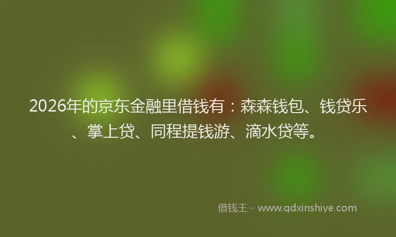 2026年的京东金融里借钱有:森森钱包、钱贷乐、掌上贷、同程提钱游、滴水贷等。
