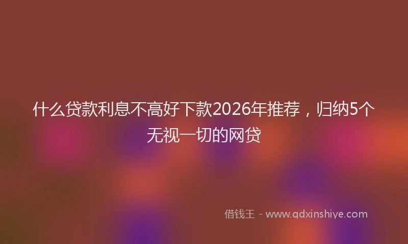 什么贷款利息不高好下款2026年推荐,归纳5个无视一切的网贷