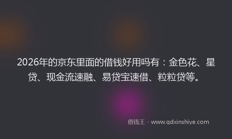 2026年的京东里面的借钱好用吗有:金色花、星贷、现金流速融、易贷宝速借、粒粒贷等。