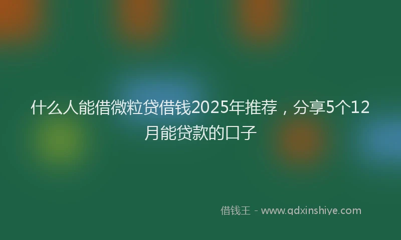 什么人能借微粒贷借钱2025年推荐，分享5个12月能贷款的口子