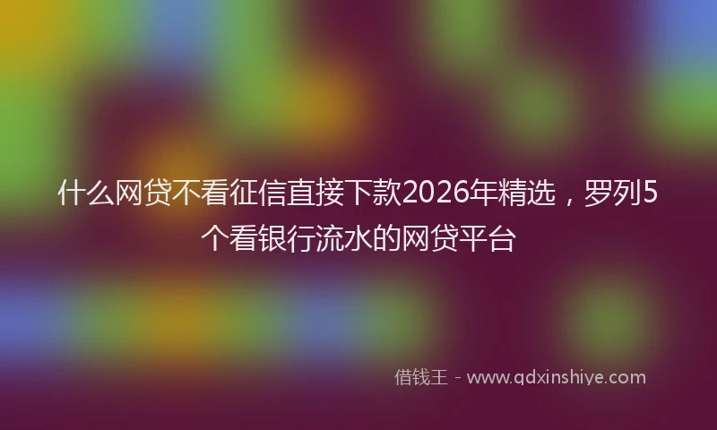 什么网贷不看征信直接下款2026年精选，罗列5个看银行流水的网贷平台