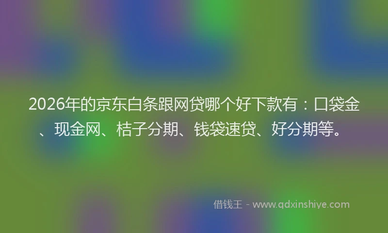 2026年的京东白条跟网贷哪个好下款有：口袋金、现金网、桔子分期、钱袋速贷、好分期等。