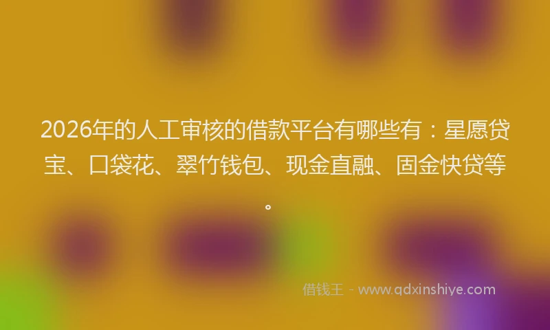 2026年的人工审核的借款平台有哪些有：星愿贷宝、口袋花、翠竹钱包、现金直融、固金快贷等。