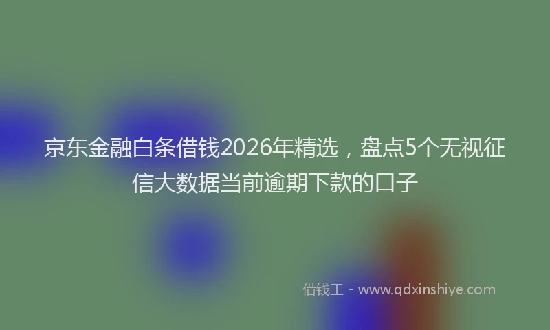 京东金融白条借钱2026年精选，盘点5个无视征信大数据当前逾期下款的口子