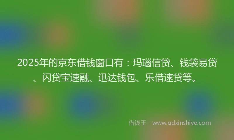 2025年的京东借钱窗口有：玛瑙信贷、钱袋易贷、闪贷宝速融、迅达钱包、乐借速贷等。