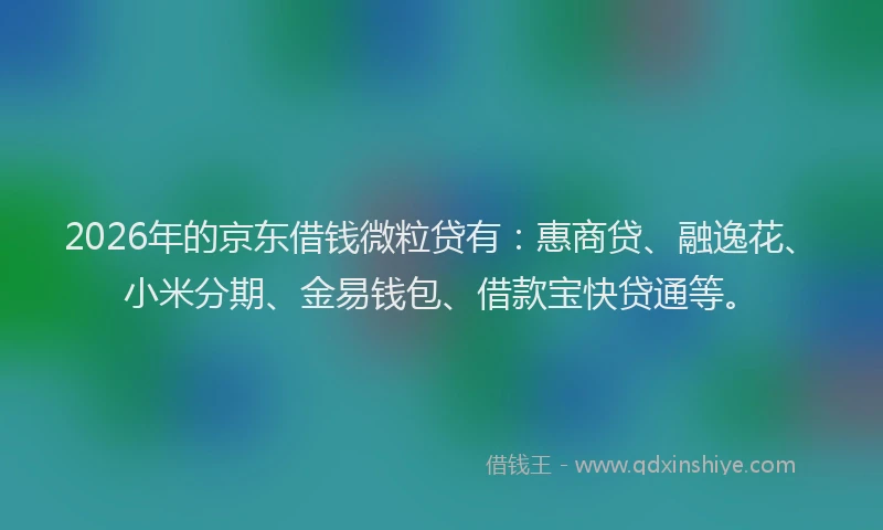 2026年的京东借钱微粒贷有：惠商贷、融逸花、小米分期、金易钱包、借款宝快贷通等。