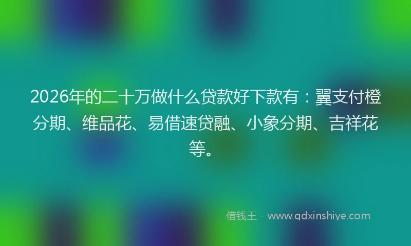 2026年的二十万做什么贷款好下款有：翼支付橙分期、维品花、易借速贷融、小象分期、吉祥花等。