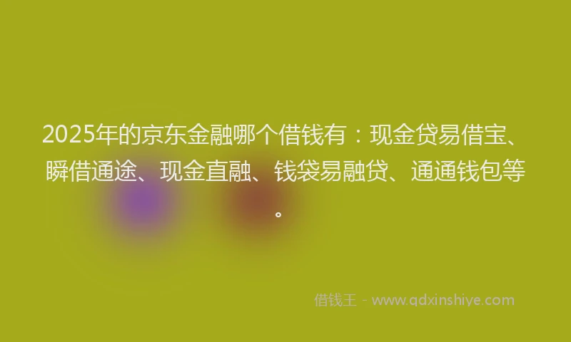 2025年的京东金融哪个借钱有：现金贷易借宝、瞬借通途、现金直融、钱袋易融贷、通通钱包等。