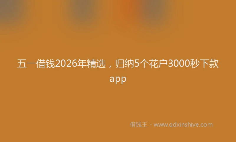 五一借钱2026年精选，归纳5个花户3000秒下款app
