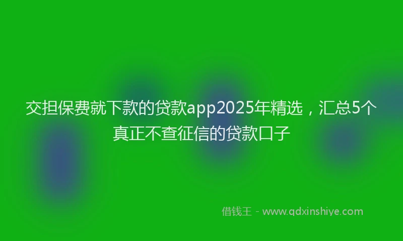 交担保费就下款的贷款app2025年精选,汇总5个真正不查征信的贷款口子