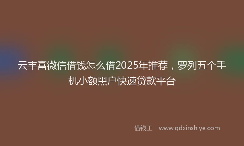 云丰富微信借钱怎么借2025年推荐,罗列五个手机小额黑户快速贷款平台