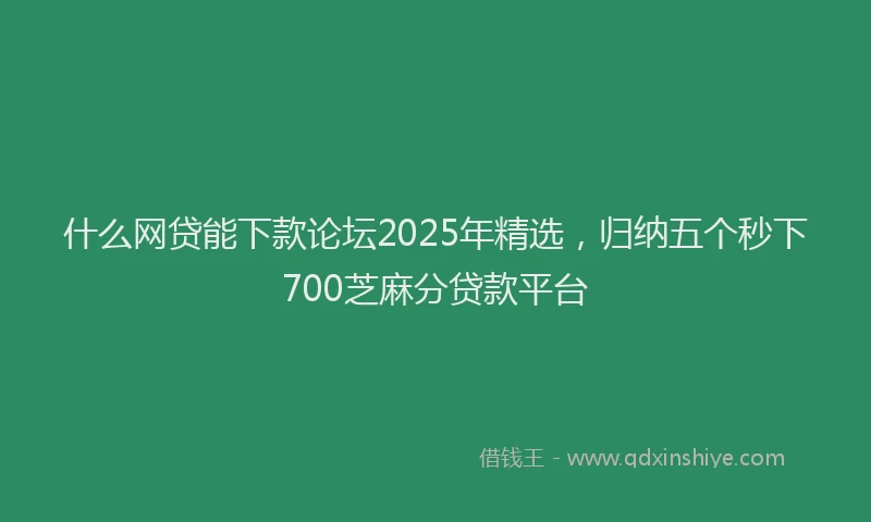 什么网贷能下款论坛2025年精选，归纳五个秒下700芝麻分贷款平台