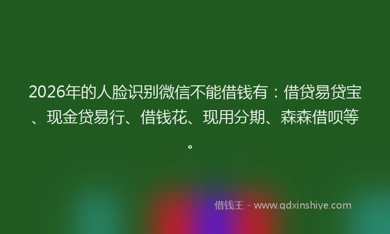 2026年的人脸识别微信不能借钱有：借贷易贷宝、现金贷易行、借钱花、现用分期、森森借呗等。