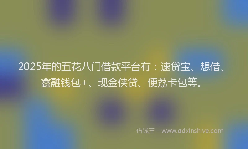 2025年的五花八门借款平台有：速贷宝、想借、鑫融钱包+、现金侠贷、便荔卡包等。