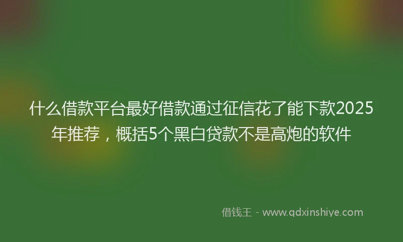 什么借款平台最好借款通过征信花了能下款2025年推荐，概括5个黑白贷款不是高炮的软件
