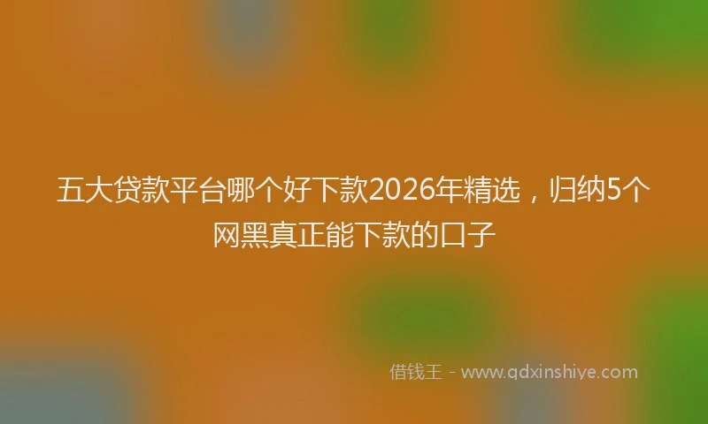五大贷款平台哪个好下款2026年精选，归纳5个网黑真正能下款的口子