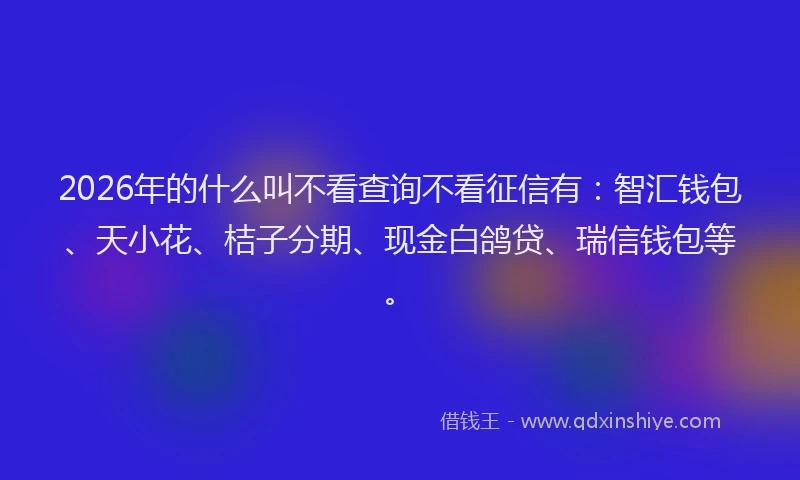 2026年的什么叫不看查询不看征信有：智汇钱包、天小花、桔子分期、现金白鸽贷、瑞信钱包等。