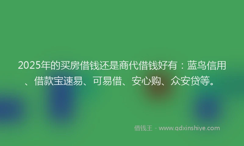 2025年的买房借钱还是商代借钱好有:蓝鸟信用、借款宝速易、可易借、安心购、众安贷等。