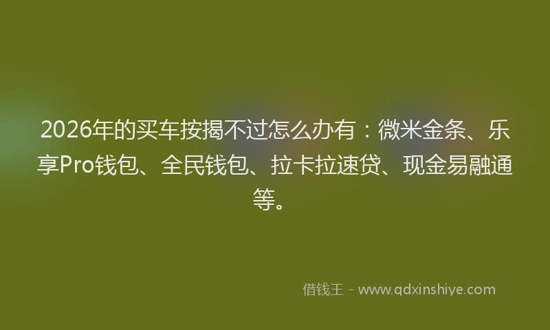 2026年的买车按揭不过怎么办有：微米金条、乐享Pro钱包、全民钱包、拉卡拉速贷、现金易融通等。
