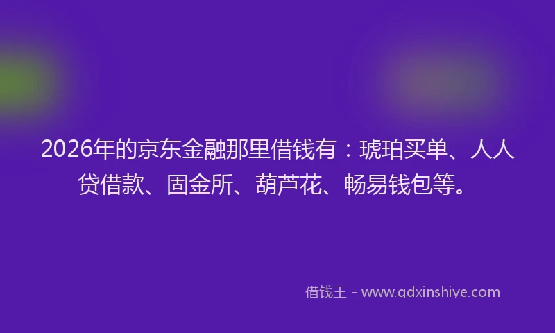 2026年的京东金融那里借钱有:琥珀买单、人人贷借款、固金所、葫芦花、畅易钱包等。