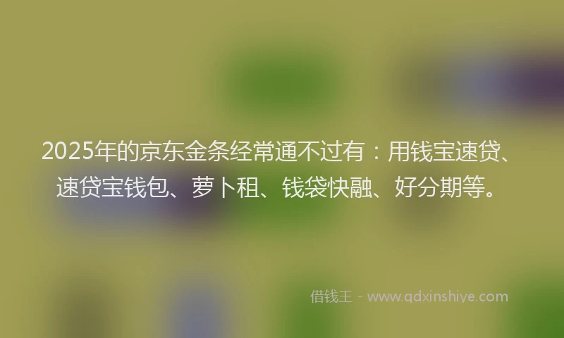 2025年的京东金条经常通不过有：用钱宝速贷、速贷宝钱包、萝卜租、钱袋快融、好分期等。