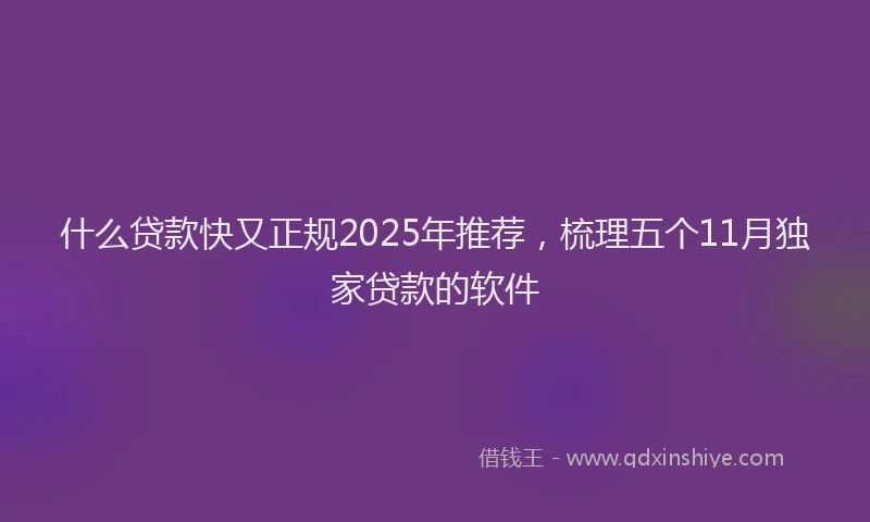 什么贷款快又正规2025年推荐，梳理五个11月独家贷款的软件
